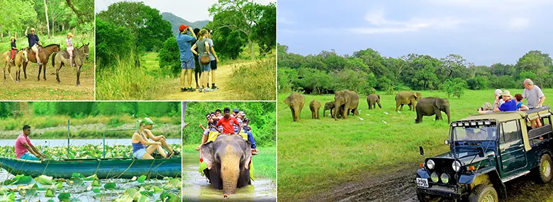 Eco tour Sri Lanka